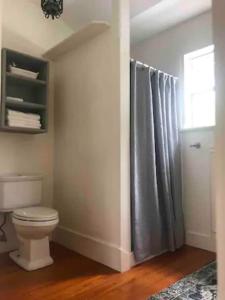 a bathroom with a toilet and a shower curtain at Luxurious indoor/outdoor Family Paradise in downtown St Augustine in St. Augustine
