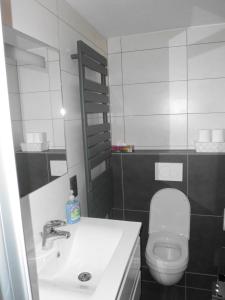 La salle de bains est pourvue d'un lavabo blanc et de toilettes. dans l'établissement Vakantiewoning 't Blooteland, à Dixmude