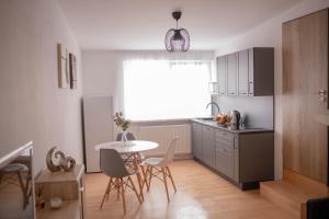 布拉格的住宿－Rezidence Kbely，厨房配有桌椅和窗户。