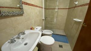 a bathroom with a sink and a toilet and a shower at Alojamiento Coihueco in Malargüe