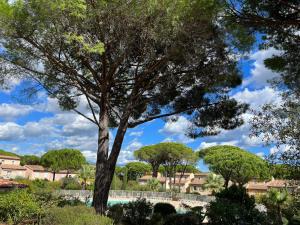 ein Baum in einem Park mit Gebäuden im Hintergrund in der Unterkunft Villa Varelle in Gassin