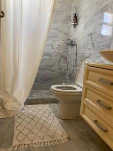 a bathroom with a shower and a toilet and a sink at Nefeli Residence @ Astypalaia island in Analipsi