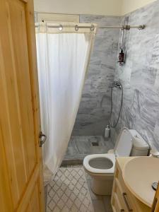 a bathroom with a shower and a toilet and a sink at Nefeli Residence @ Astypalaia island in Analipsi