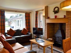 a living room with a couch and a fireplace at Holly Lodge in Aviemore