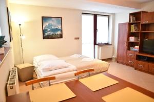 Televízia a/alebo spoločenská miestnosť v ubytovaní Apartament Granit