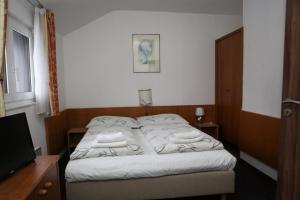 Voodi või voodid majutusasutuse Hotel Skála toas