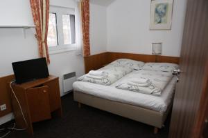 Voodi või voodid majutusasutuse Hotel Skála toas
