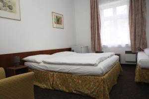 Voodi või voodid majutusasutuse Hotel Skála toas