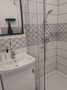 a bathroom with a sink and a shower at CASA MINI 5 in Pécs