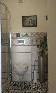 a bathroom with a toilet and a shower at CASA MINI 5 in Pécs