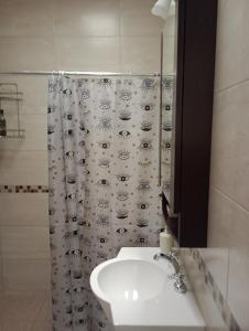 baño con lavabo y cortina de ducha en Alojamiento Comodoro en San Rafael