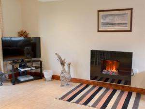 a living room with a fireplace and a tv at Goose Cottage - Ukc2676 in Poundstock