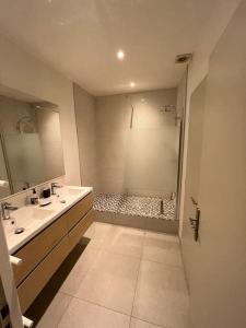 a bathroom with a shower and a sink and a mirror at La Comédie, appart de Charme in Montpellier