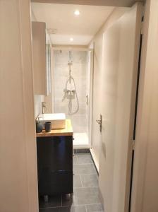 La salle de bains est pourvue d'une douche, d'un lavabo et d'un lavabo. dans l'établissement Cosy Mûre - 4 CH - Wifi- Parking gratuit, à Pau