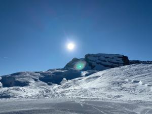 Des Alpes C Flat 11 v zime