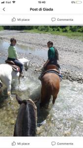 dos personas montando caballos a través de un río con animales en nido d'amore, en Dernice