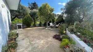 En have udenfor Gesthimani's Residence