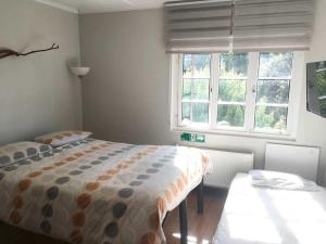 1 dormitorio con 2 camas y 2 ventanas en Airesbuenos Hostel y Permacultura, en Valdivia