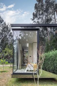 a glass house in a garden with a tree at Villa no Jardim dos Aromas in Gião