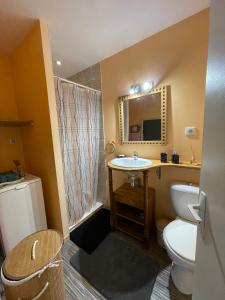 a bathroom with a toilet and a sink and a mirror at Appartement Cap Vern Les Bains in Capvern