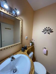 ein Badezimmer mit einem Waschbecken, einem Spiegel und einem WC in der Unterkunft Appartement Cap Vern Les Bains in Capvern