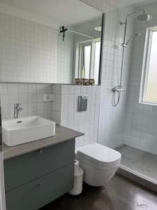 een badkamer met een wastafel, een toilet en een douche bij Óspaksstaðir- New Renovated Farm in Hrútafjörður in Staður