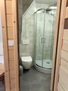 a bathroom with a glass shower and a toilet at Willa u D&J Jarosz in Ząb +29 photos