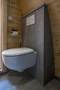 een badkamer met een wit toilet in een houten muur bij Luxe woodlodge in een prachtige en bosrijke omgeving in Bornerbroek