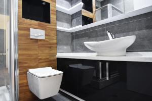 La salle de bains est pourvue d'un lavabo et de toilettes. dans l'établissement Ninoshvili's Painter's Home, à Tbilissi