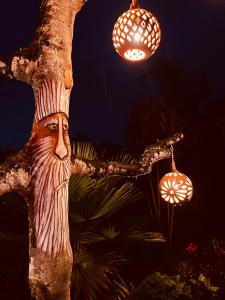 Ein Baum mit einer Schnitzerei auf dem Gesicht in der Unterkunft Glamping Cabañas Sharmont in Guarne