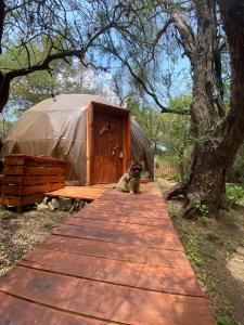 a dog sitting on a wooden walkway in front of a yurt at Domo Cielos del Uritorco in Capilla del Monte