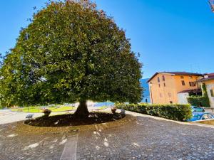 Fotografie z fotogalerie ubytování ANGELO Loft v destinaci Tremezzo