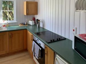 una cocina con encimera verde y fregadero en The Hideaway, en Breamore