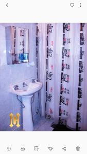ein Bad mit einem Waschbecken und einem Duschvorhang in der Unterkunft Hotel Central in Buenos Aires