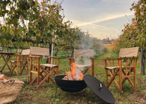 Ein Garten an der Unterkunft Vinha by NHôme
