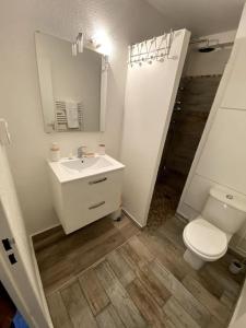 bagno con servizi igienici, lavandino e specchio di Studio cabine avec jardin a Canet-en-Roussillon
