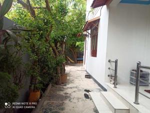 a corridor of a house with trees and plants at Villagewaves in Himmafushi