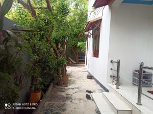 Fotografie z fotogalerie ubytování Villagewaves v destinaci Himmafushi