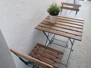 two wooden benches and a potted plant on a table at Cosy and roomy 78m2(Μονοκατοικία) in Piraeus