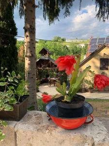 エゲルにあるVilla Kőporosの赤い花入り赤鍋