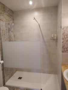 een badkamer met een douche, een toilet en een wastafel bij La Rapiette de Noblat in Saint-Léonard-de-Noblat