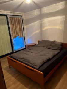 een slaapkamer met een bed in een kamer met een raam bij Bei Dinos in Sarstedt