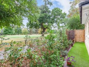 a garden with a fence and some plants at Peacock On The Pin in Stisted