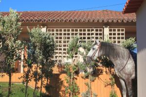 Tiere im Hotel oder in der Nähe