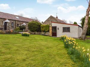 a house with a yard with daffodils at Over Across-uk38277 in Cloughton