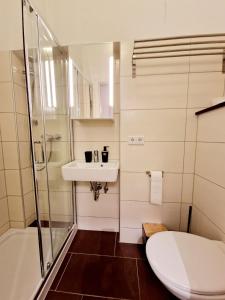 ein Bad mit einem Waschbecken, einer Dusche und einem WC in der Unterkunft Hofgarten Apartments in Aschaffenburg