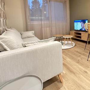 a living room with a couch and a tv at Appartement cosy in Souillac