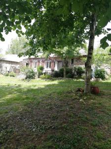 a house with a tree in front of it at Maison de campagne in Paulinet