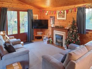 a living room with couches and a television and a christmas tree at Burnside Alderwood in Garboldisham