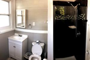 a bathroom with a toilet and a sink and a shower at Historic 1920 Bungalow Minutes from DTSP in St Petersburg